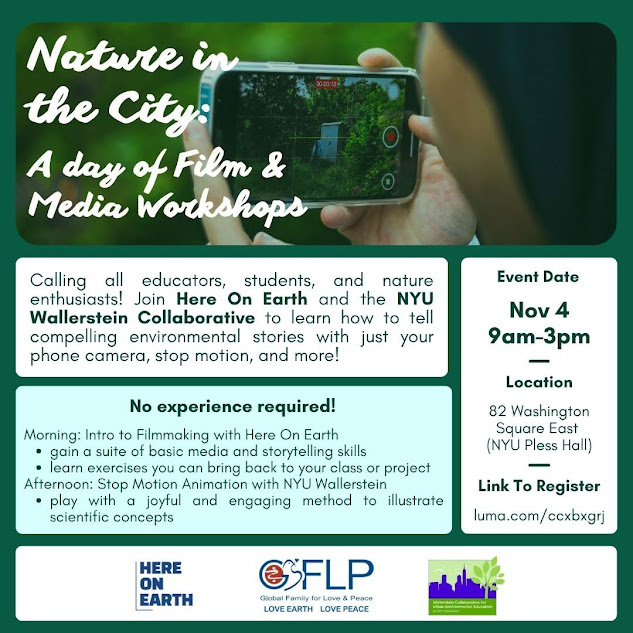 3 - 報新聞 Mega News