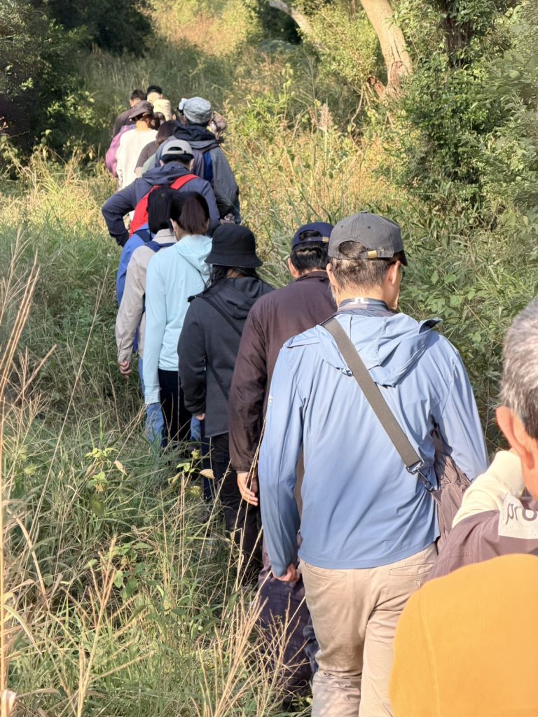 S__3719173_0 - 報新聞 Mega News