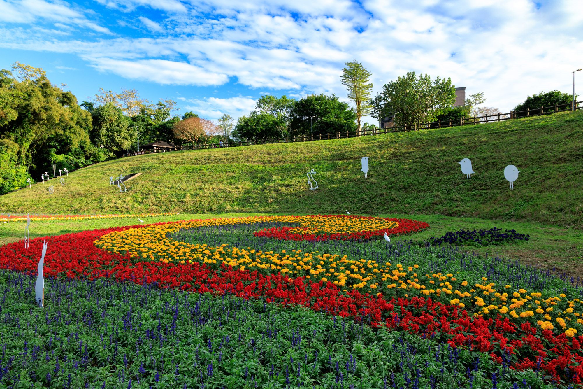 大溝溪花海綻放 圖/台北市政府