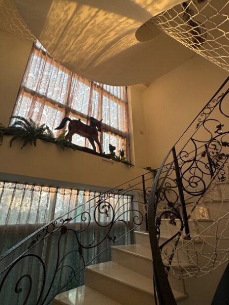 寬敞明亮的室內客廳結合休憩與交流機能，提供家族與朋友自在聚會的核心空間，讓包棟旅客享受如家般放鬆的住宿氛圍。