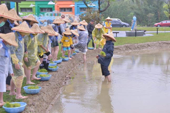 《圖說》汐止區農會優良農事小組長王新傳擔任農會的食農教育講師，帶領大小朋友一起體驗農作。〈農業局提供〉